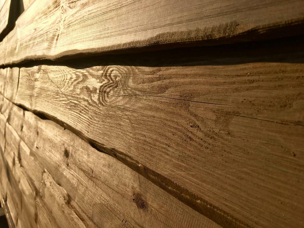 Holzhaus Trollbluemchen Am Wald Und See 诺伊鲁平 外观 照片