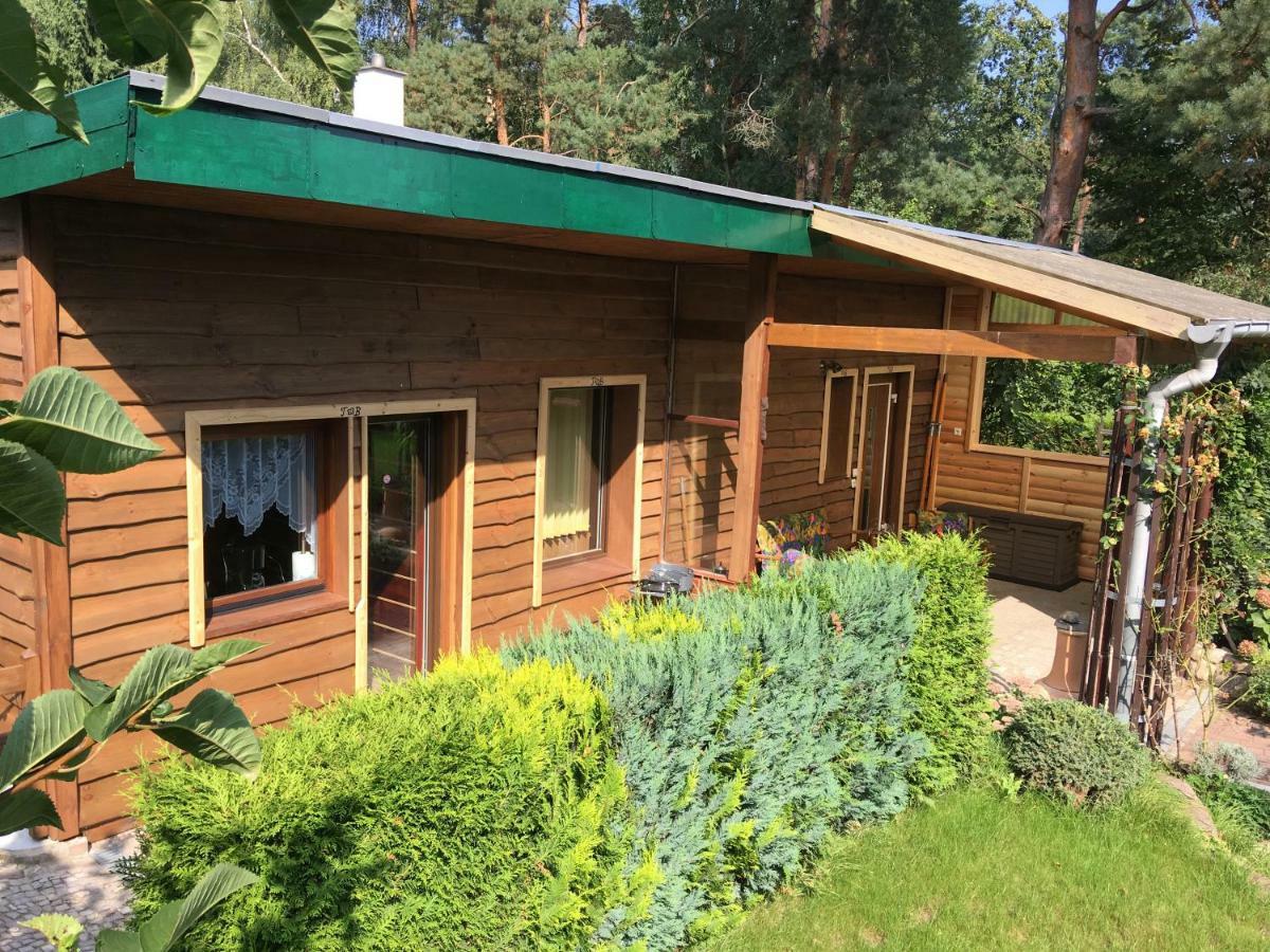Holzhaus Trollbluemchen Am Wald Und See 诺伊鲁平 外观 照片